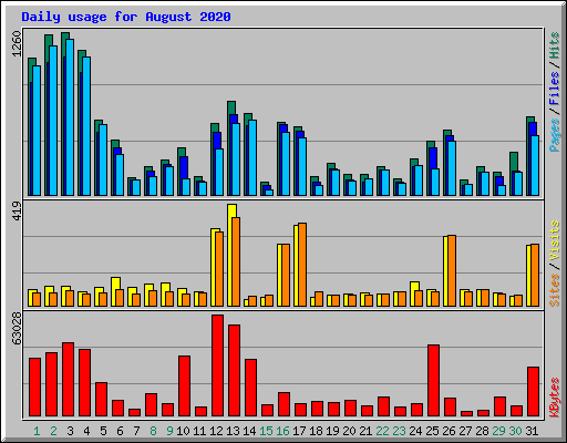 Daily usage for August 2020