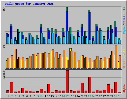 Daily usage for January 2021