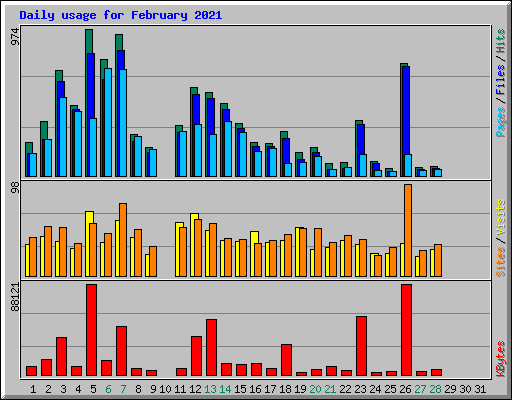 Daily usage for February 2021