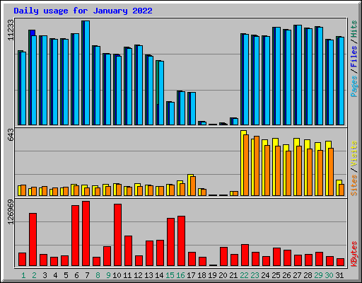 Daily usage for January 2022