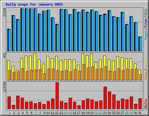 Daily usage for January 2023