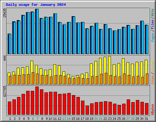 Daily usage for January 2024