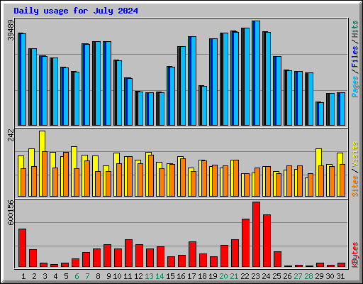 Daily usage for July 2024