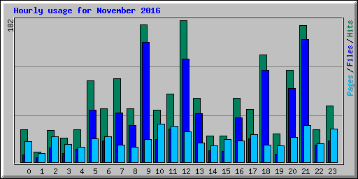 Hourly usage for November 2016