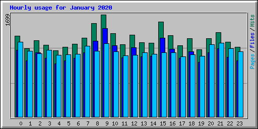 Hourly usage for January 2020