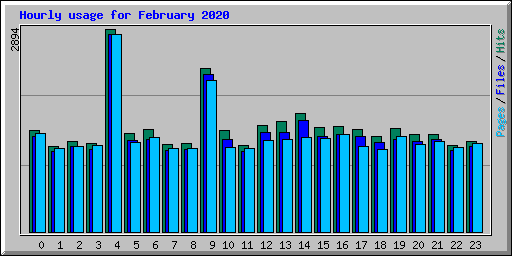 Hourly usage for February 2020