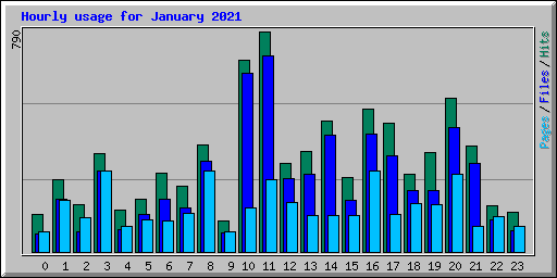 Hourly usage for January 2021