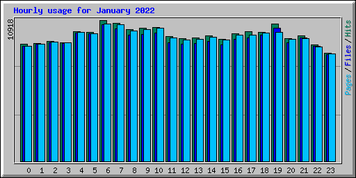 Hourly usage for January 2022