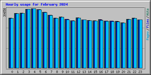 Hourly usage for February 2024