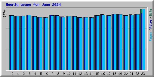 Hourly usage for June 2024