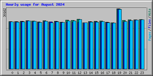 Hourly usage for August 2024