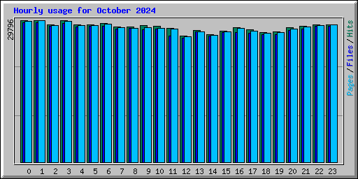 Hourly usage for October 2024