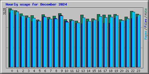 Hourly usage for December 2024