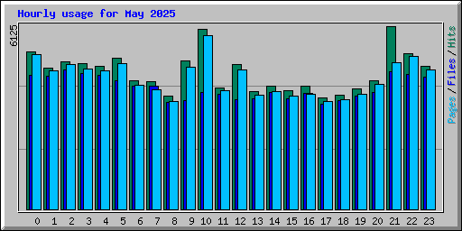 Hourly usage for May 2025