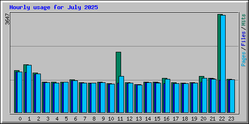 Hourly usage for July 2025