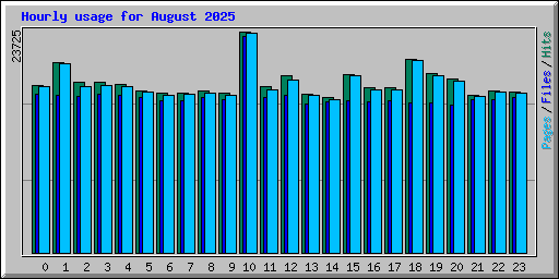 Hourly usage for August 2025