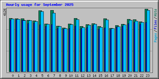 Hourly usage for September 2025