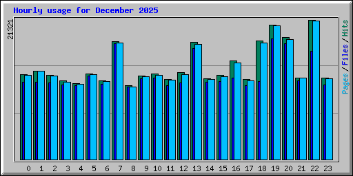 Hourly usage for December 2025
