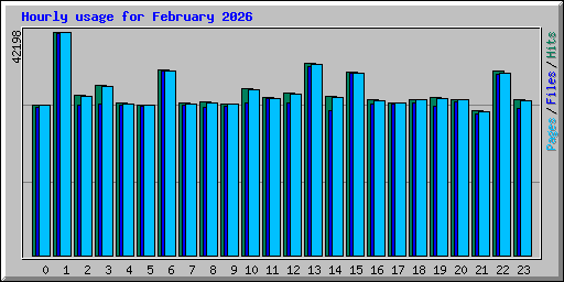 Hourly usage for February 2026